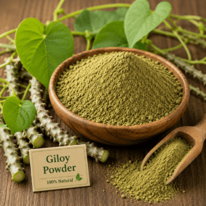 Giloy Powder